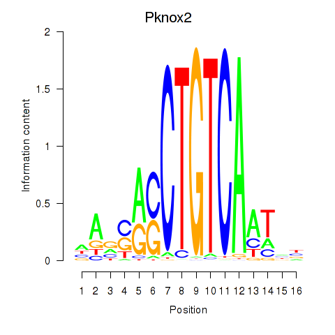 logo of Pknox2