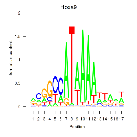 logo of Hoxa9