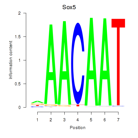 logo of Sox5