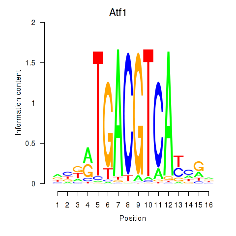 logo of Atf1