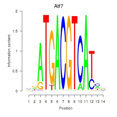 logo of Atf7