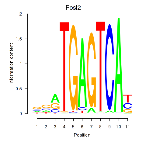 logo of Fosl2