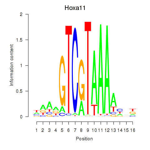 logo of Hoxa11