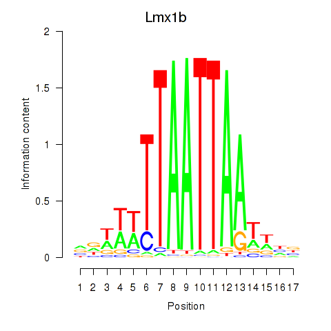 logo of Lmx1b