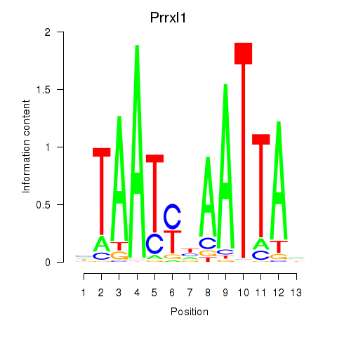 logo of Prrxl1