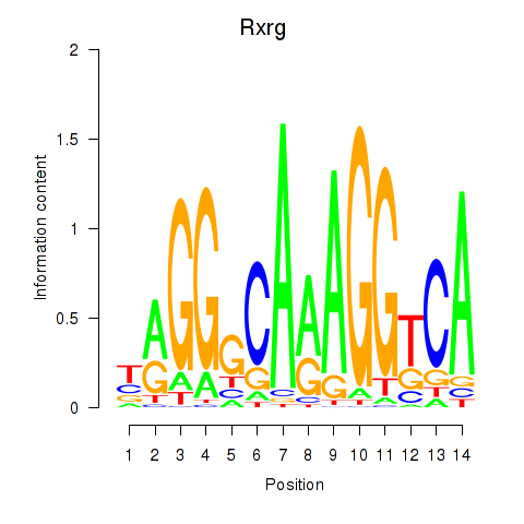 logo of Rxrg