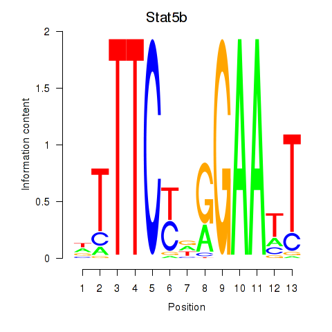 logo of Stat5b