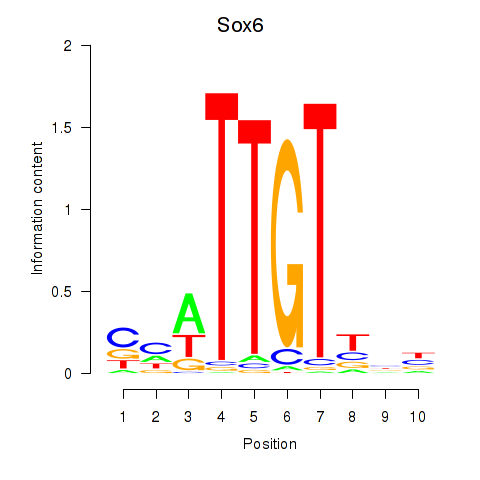 logo of Sox6