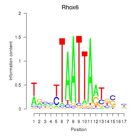 logo of Rhox6