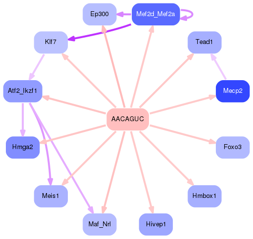 PNG image of the network