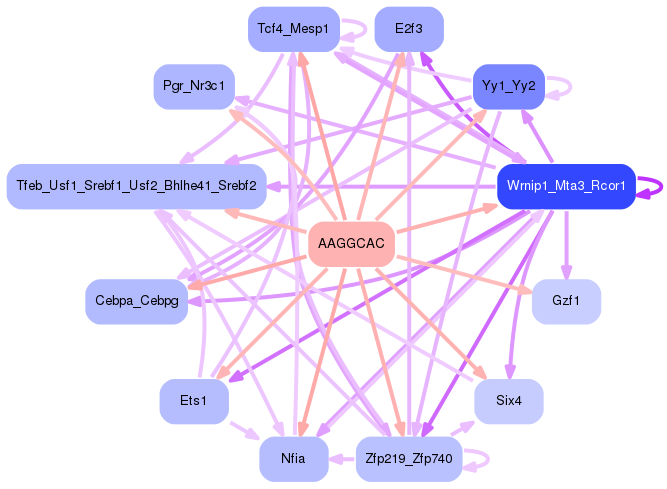 PNG image of the network