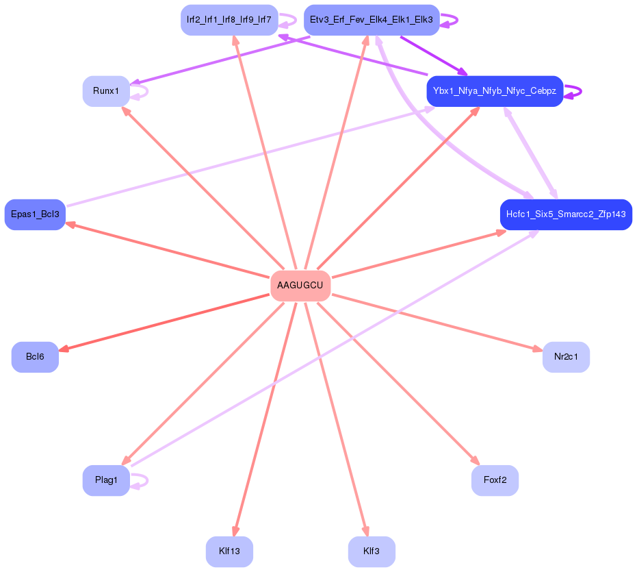 PNG image of the network