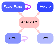 PNG image of the network