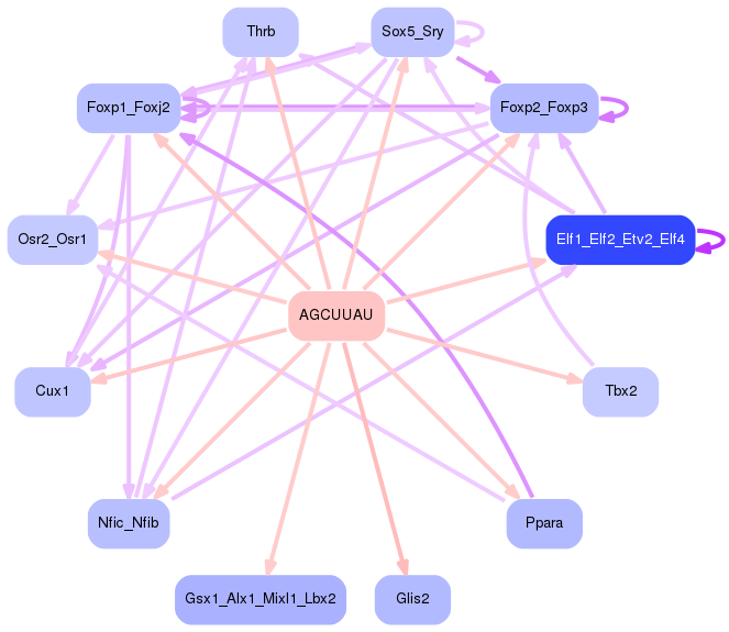 PNG image of the network