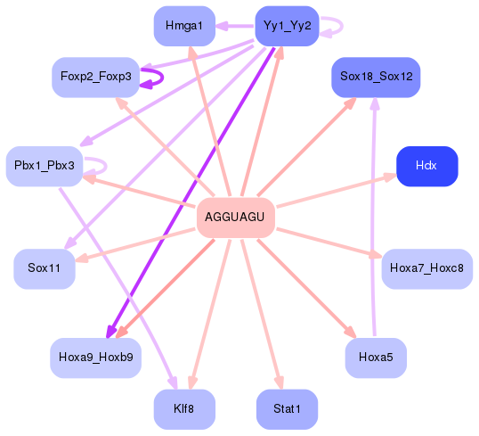 PNG image of the network