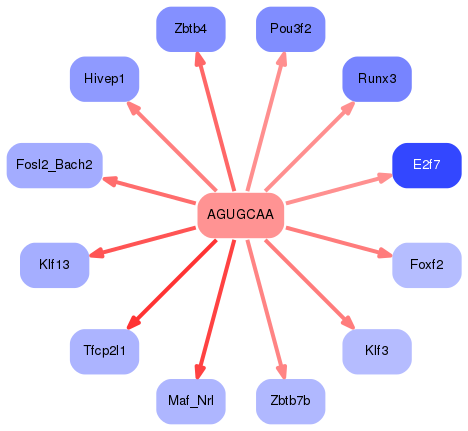 PNG image of the network