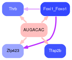 PNG image of the network