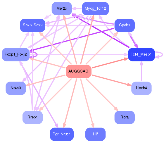 PNG image of the network