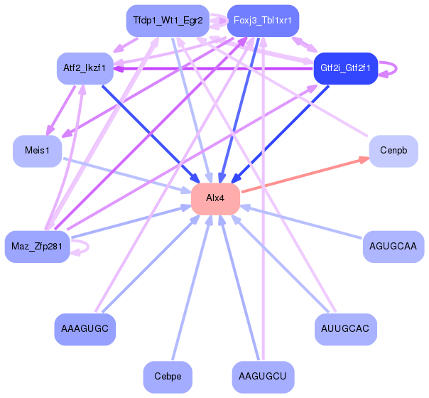 PNG image of the network