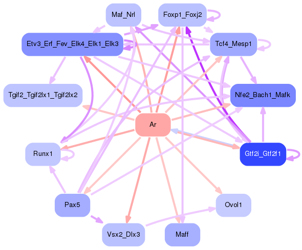 PNG image of the network
