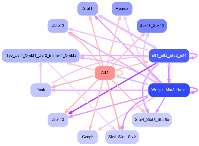 PNG image of the network