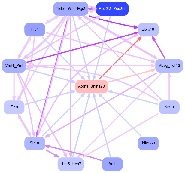 PNG image of the network
