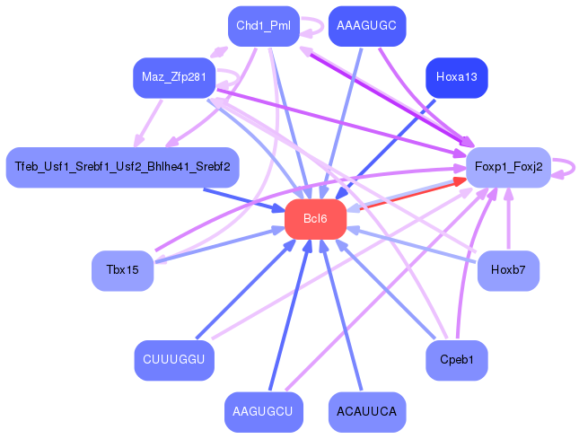 PNG image of the network