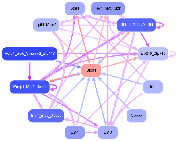 PNG image of the network
