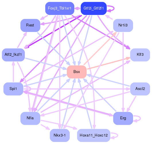PNG image of the network