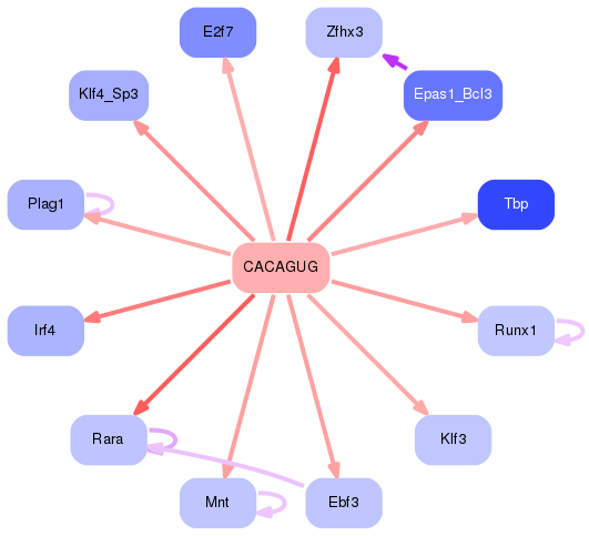 PNG image of the network