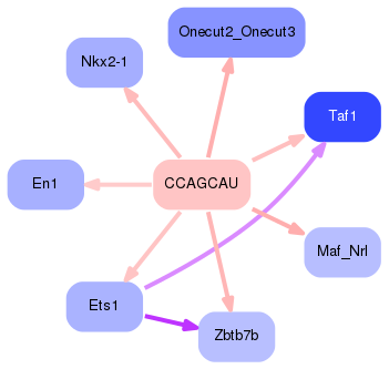 PNG image of the network