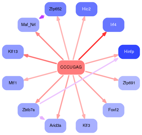 PNG image of the network