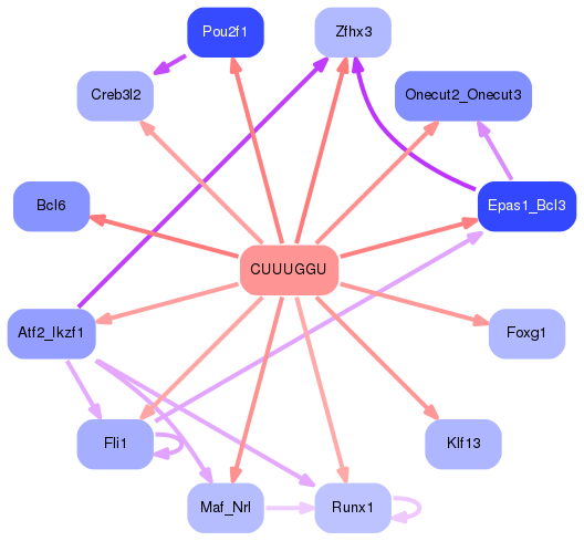 PNG image of the network