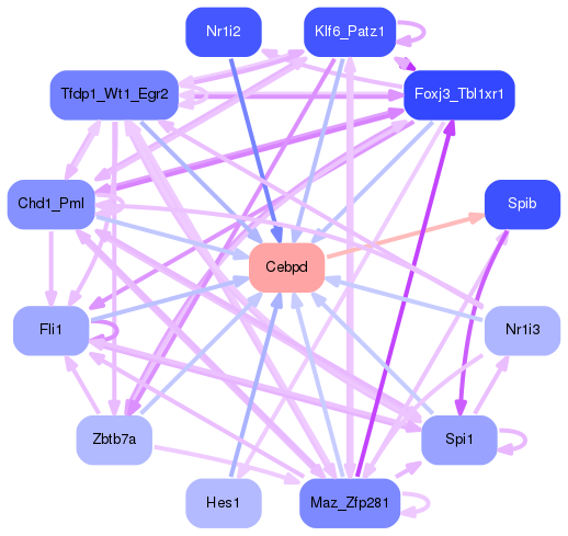 PNG image of the network
