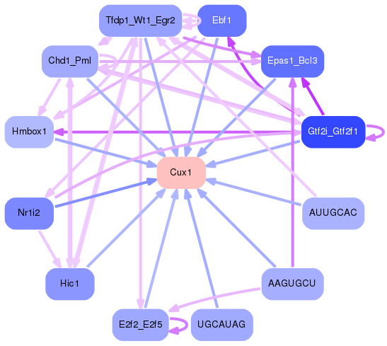 PNG image of the network