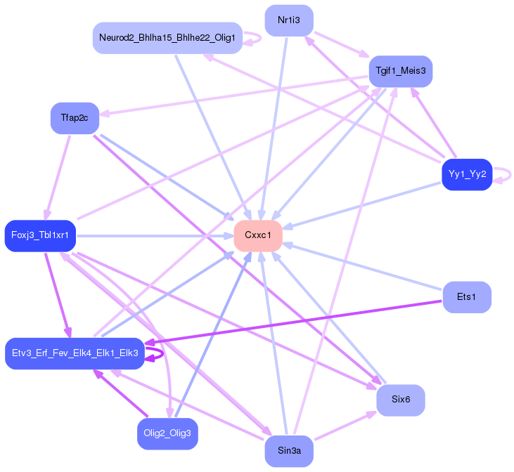 PNG image of the network