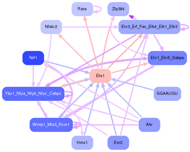 PNG image of the network