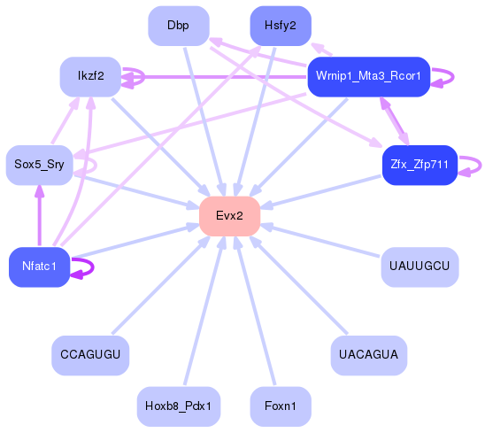 PNG image of the network