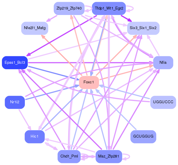 PNG image of the network