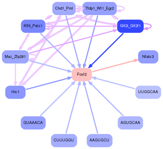 PNG image of the network