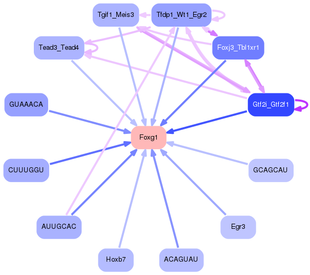 PNG image of the network