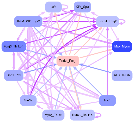 PNG image of the network