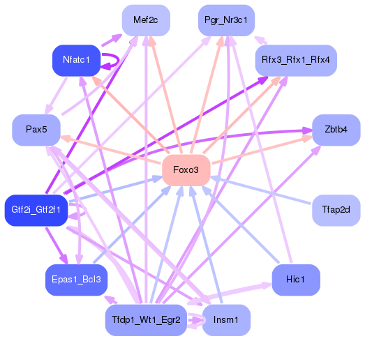 PNG image of the network