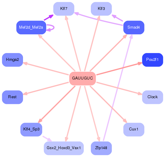 PNG image of the network
