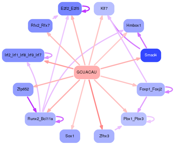 PNG image of the network