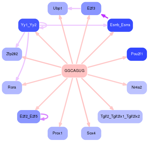 PNG image of the network