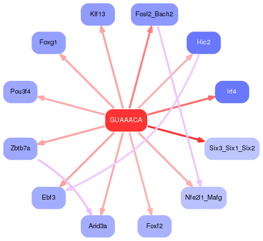 PNG image of the network