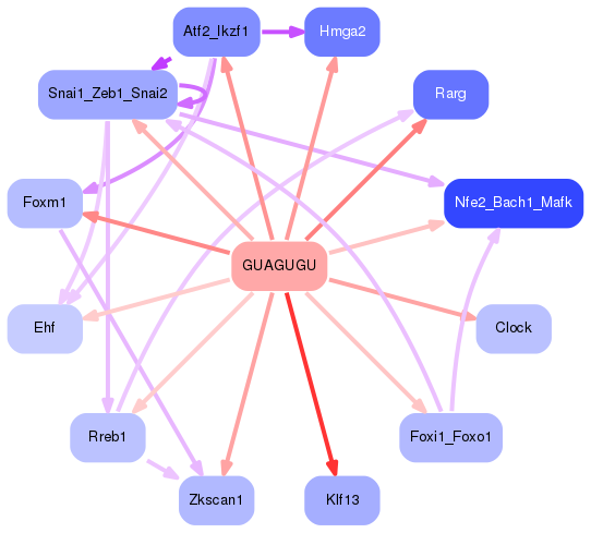 PNG image of the network