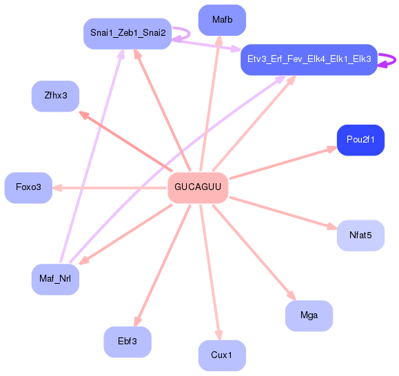 PNG image of the network