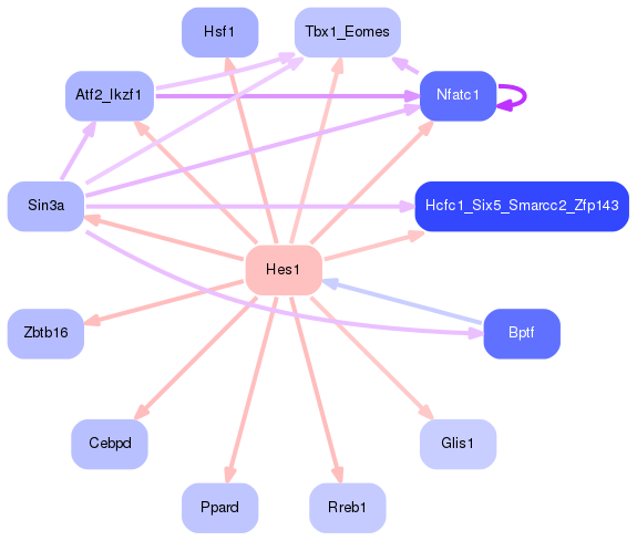 PNG image of the network